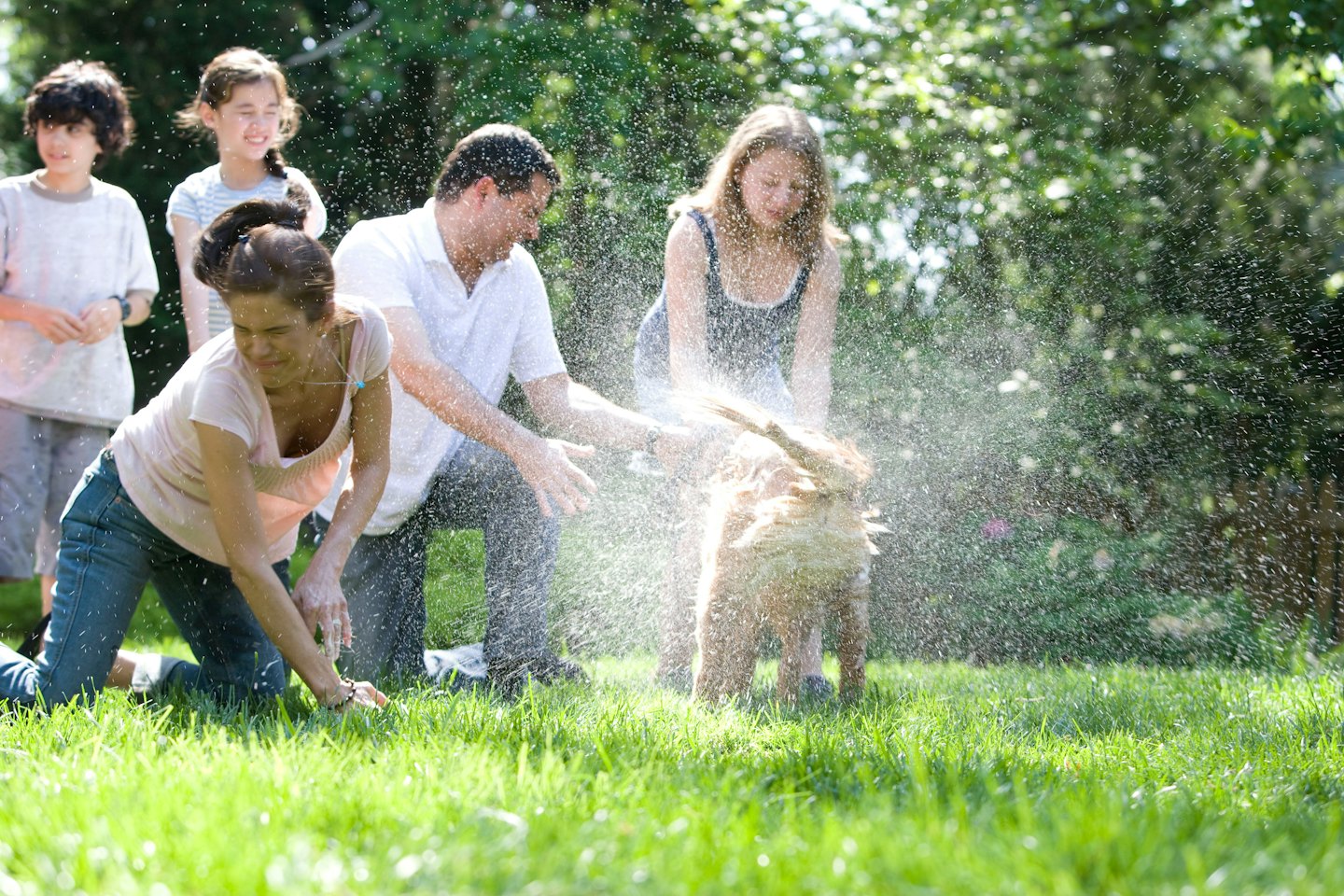 Family plays with golden retriever shaking water in a sunny backyard.